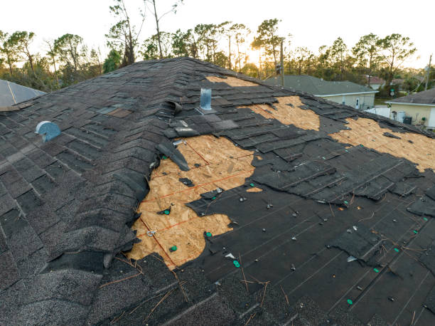 Best Roof Insulation Installation  in Elm Creek, TX